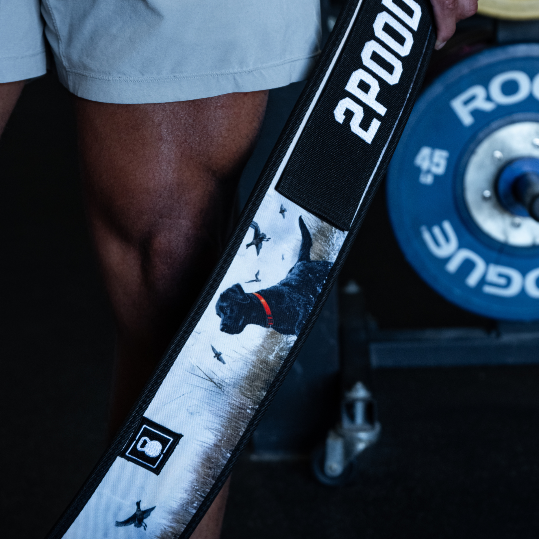 Black Lab 4" Weightlifting Belt